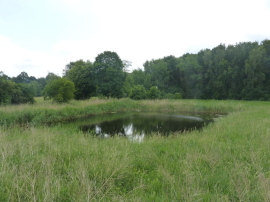 WILLA Z WIDOKIEM NA PANORAMĘ LASU